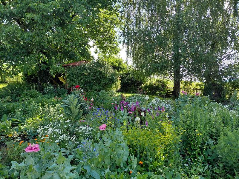 Nationalpark Garten Fotowettbewerb 1. Platz: Naturnaher Garten mit Blumen und Bäumen