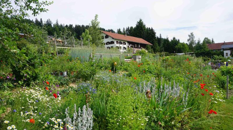 Nationalpark Garten Fotowettbewerb 2. Platz: Naturnaher Garten mit Blumen und Büschen, im Hintergrund ein Haus auf einem Hügel