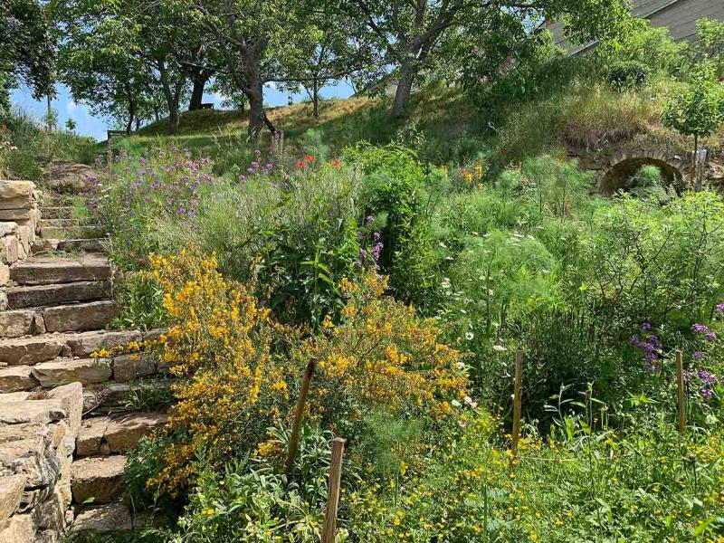 Nationalpark Garten Fotowettbewerb 3. Platz: Naturnaher Garten mit Büschen und einer Steintreppe links und Trockensteinmauern