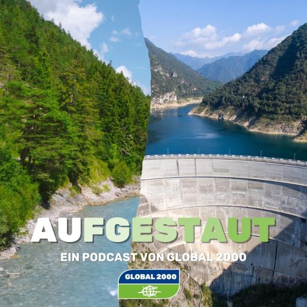 Sujet vom Aufgestaut Podcast von GLOBAL 2000 mit Wald, Wasser und einem Staudamm als Bildmontage