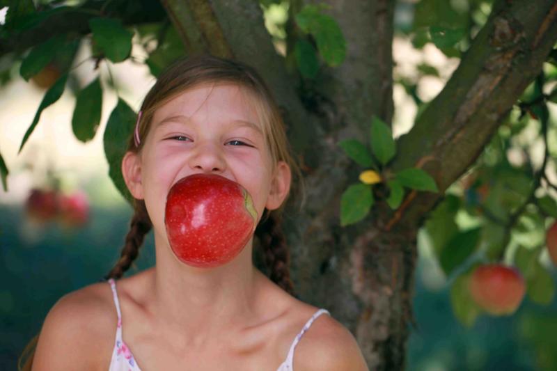 Mädchen hat ganzen Apfel im Mund und lacht, im Hintergrund ein Apfelbaum