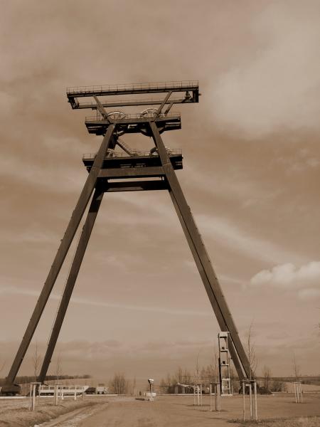 Bild: Marco Barnebeck / pixelio.de