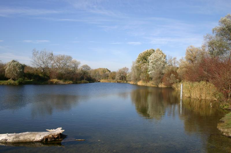 See mit Baumen und Schilf