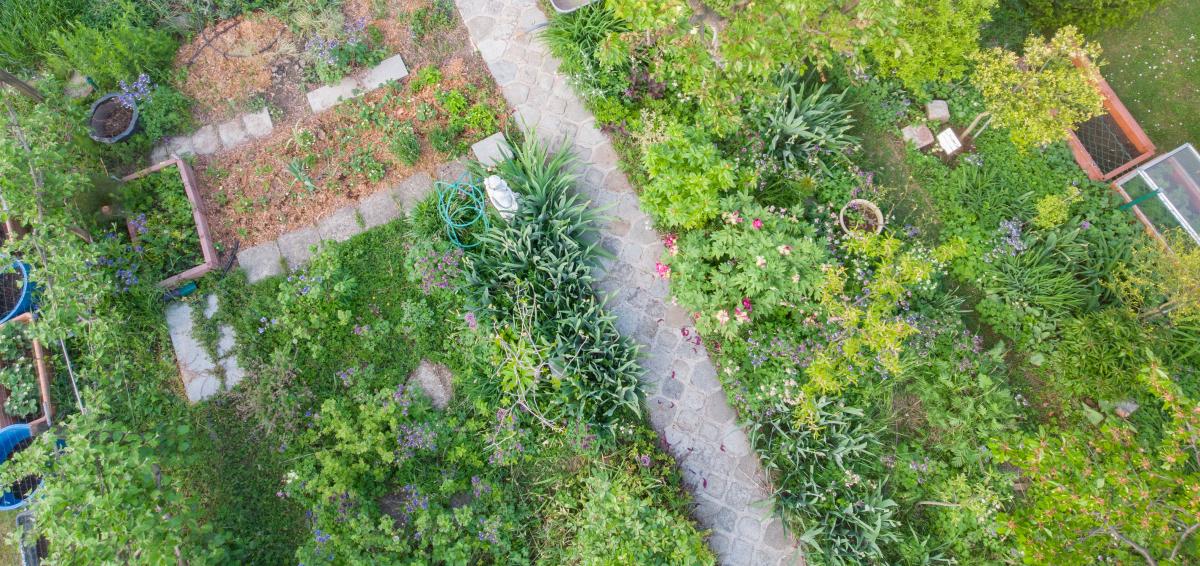 Naturgarten Beispiel Vogelperspektive