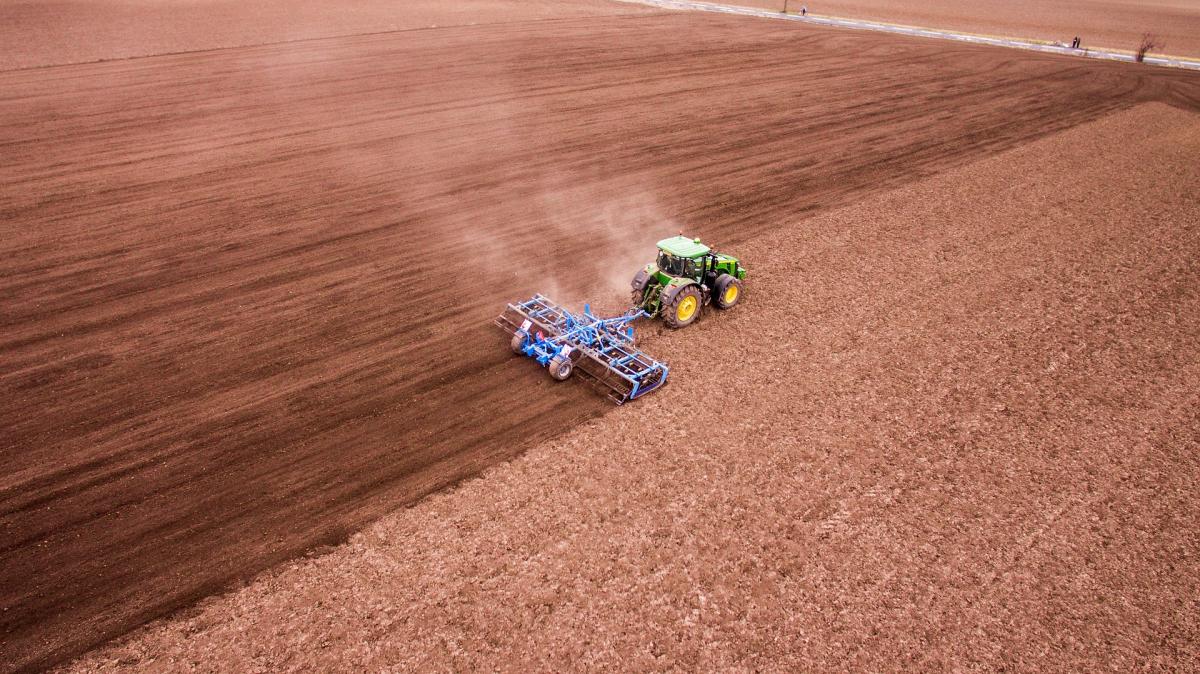 Landwirtschaft auf Feld