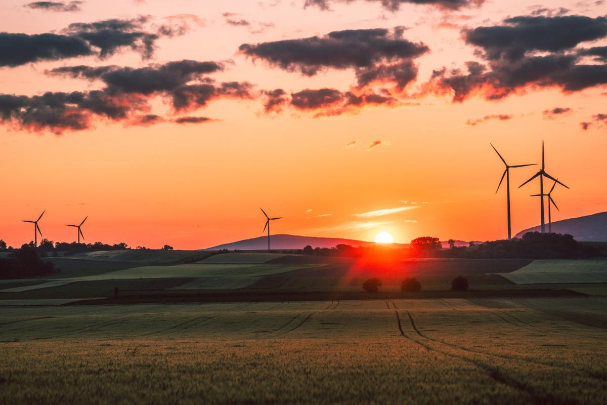 Windräder auf einem weiten Feld
