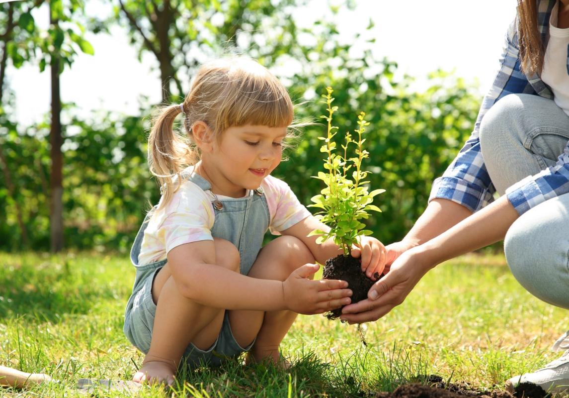 Mädchen setzt eine Pflanze in die Erde