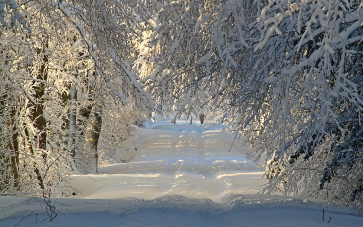 Winterliche Schneelandschaft