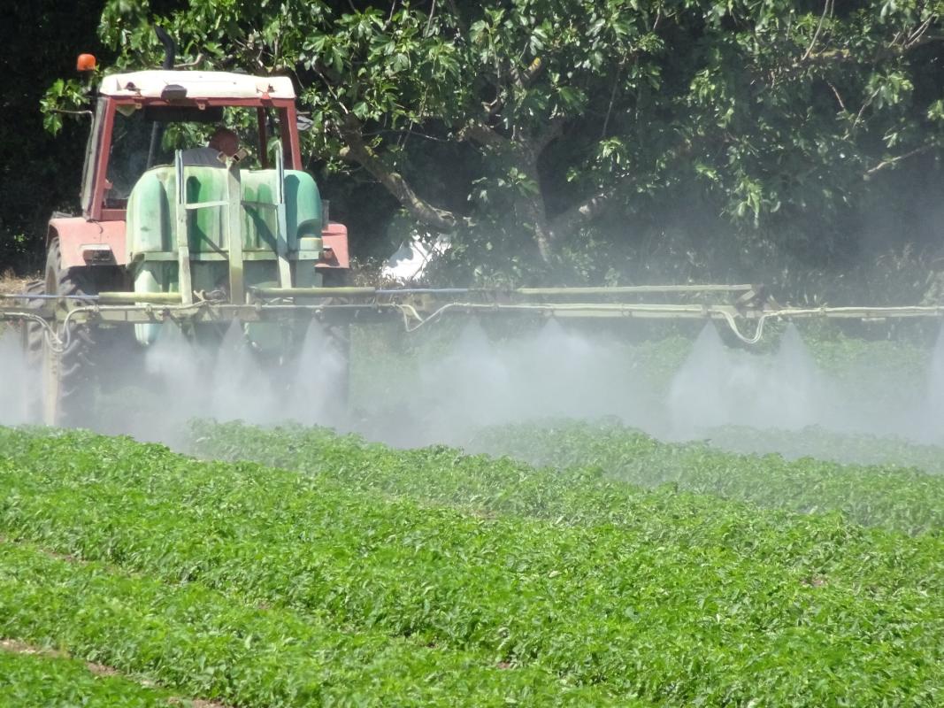 Traktor spritzt auf grünes Feld