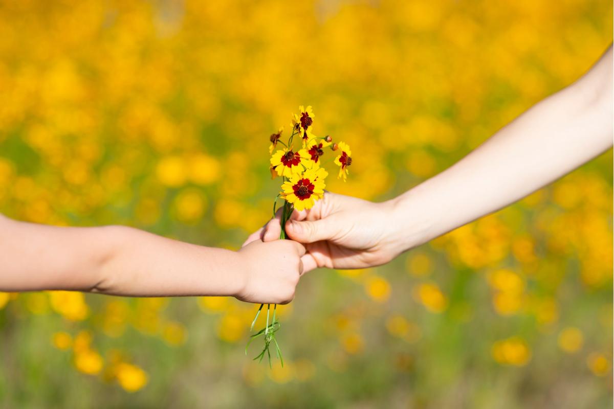 Mitten in der Blumenwiese: Zwei Hände, eine größere und eine kleinere, reichen sich einen kleinen Blumenstrauß mit gelben Blüten