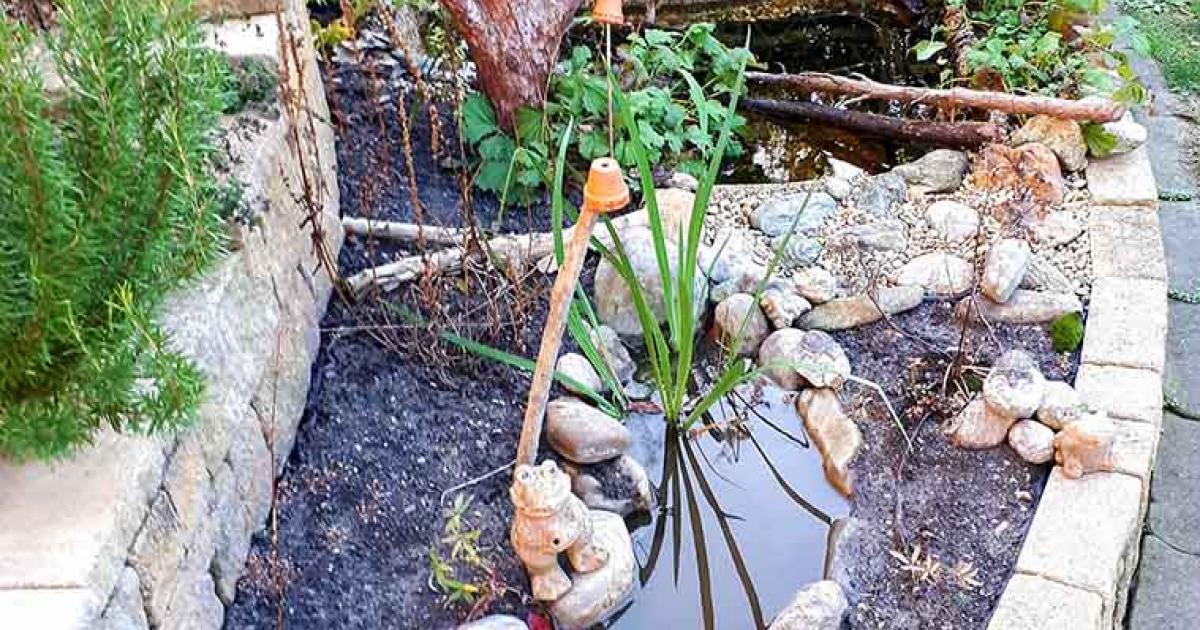 Teich und Sumpfbeet anlegen GLOBAL 2000
