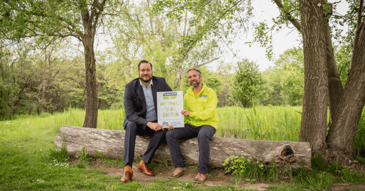 Ausmalbilder Frosch: Hüpfender Spaß für Groß und Klein – Kostenlose Vorlagen zum Downloaden!