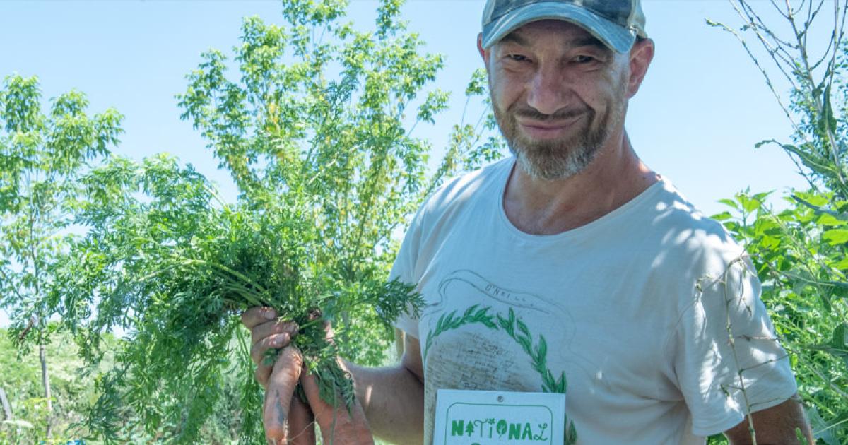 37+ Bibelstelle Gärtner Unseres Gartens, Und gott der herr ließ