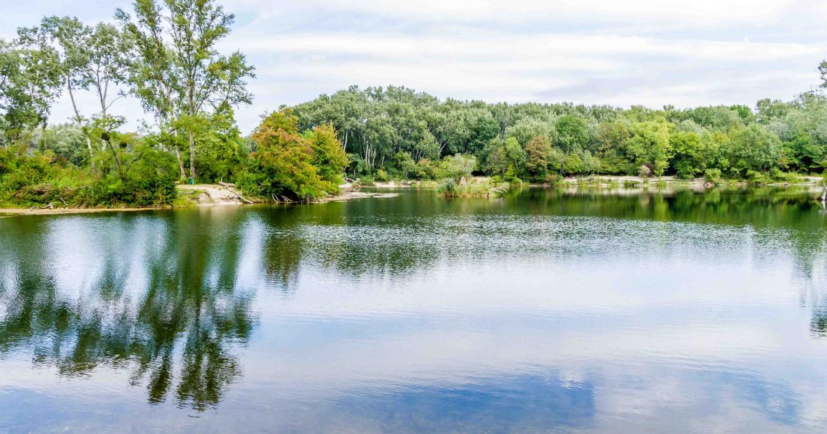 Retten wir unsere Lobau – unterschreiben Sie JETZT den E-Protest!
