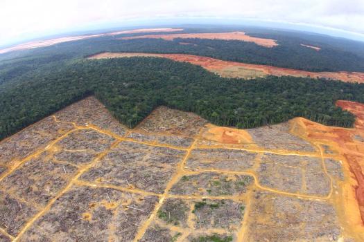 Bauxitmine Brasilien (c) Carlos Penteado / Comissão Pró-Índiode SãoPaulo