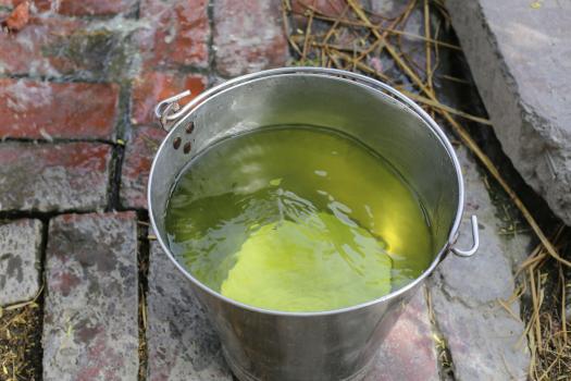 Belastetes Wasser in Indien