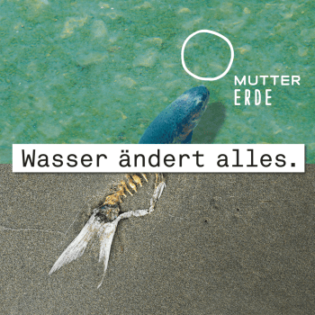 Gegenüberstellung vom Fisch im Wasser und einer Frischgrete am Sand