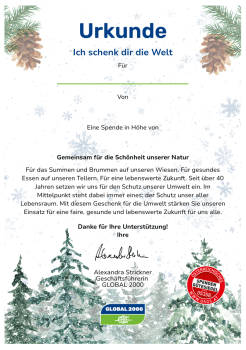 Eine Urkunde namens "Ich schenk dir die Welt" für den Umweltschutz in Weihnachtsoptik mit schneebedeckten Tannenbäumen unten und Tannenzapfen oben