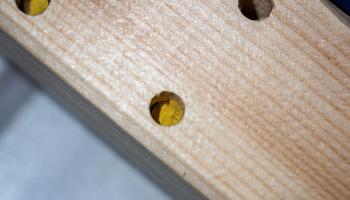 Regal in dem Wildbienen nistet