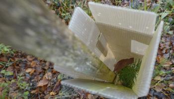 Aufforstung Yspertal