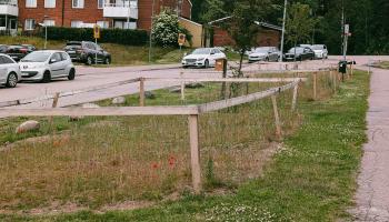 Eingegrenzte naturnahe Grünflächen in der Stadt