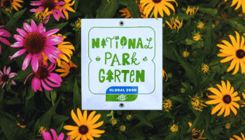 Die Nationalpark Garten Plakette liegt in einer Blumenwiese aus rosefarbenen und gelben Blumen