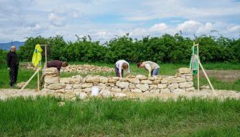 Menschen bauen eine Trockensteinmauer mitten im Grünen auf einer Wiese