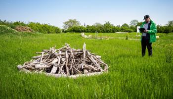 Mann steht mit Klemmbrett rechts neben einem Haufen Holz auf einer Wiese