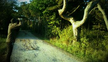 Weltwanderer am Weg in Österreich