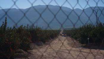 Plantage in Spanien