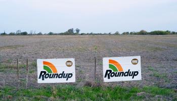 Roundup am Feld