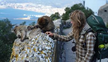 Weltenwanderer in Spanien mit Affen