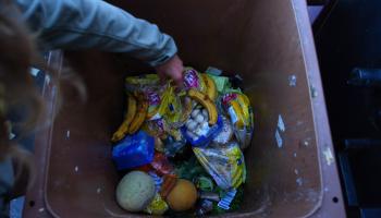 Hand greift nach Obst in einer Mülltonne