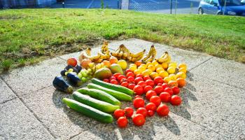 Gemüse und Obst liegt gut sortiert am Boden