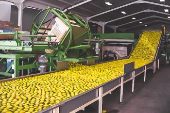 Zitronen Nachbehandlung 