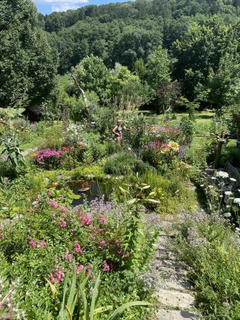 blühender Garten mit schmalen Steinweg vor einem grünem Hügel.