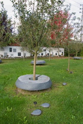 Apfelbaum Urnengarten am St. Barbara Friedhof Nationalpark Garten Mitglied Apfelbaum Urnengarten am St. Barbara Friedhof Nationalpark Garten Mitglied