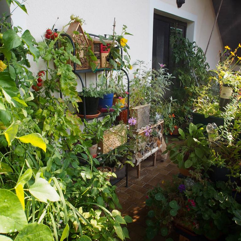 Nationalpark Garten Teilnehmer-Foto Nationalpark Garten Teilnehmer-Foto