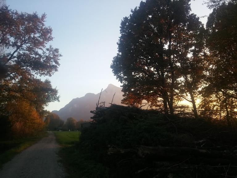 Salzburg 