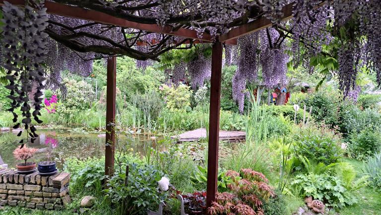Naturgarten mit Gartenteich-Biotop und einer Laube mit Flieder