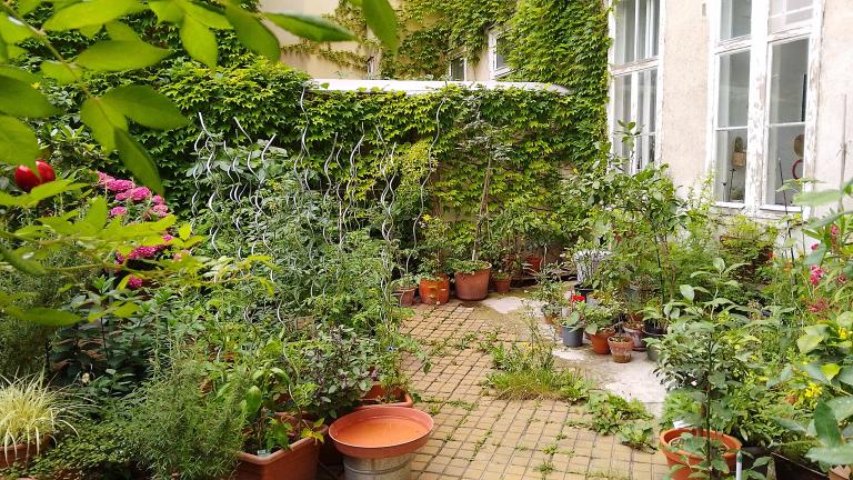 Begrünter Innenhof.