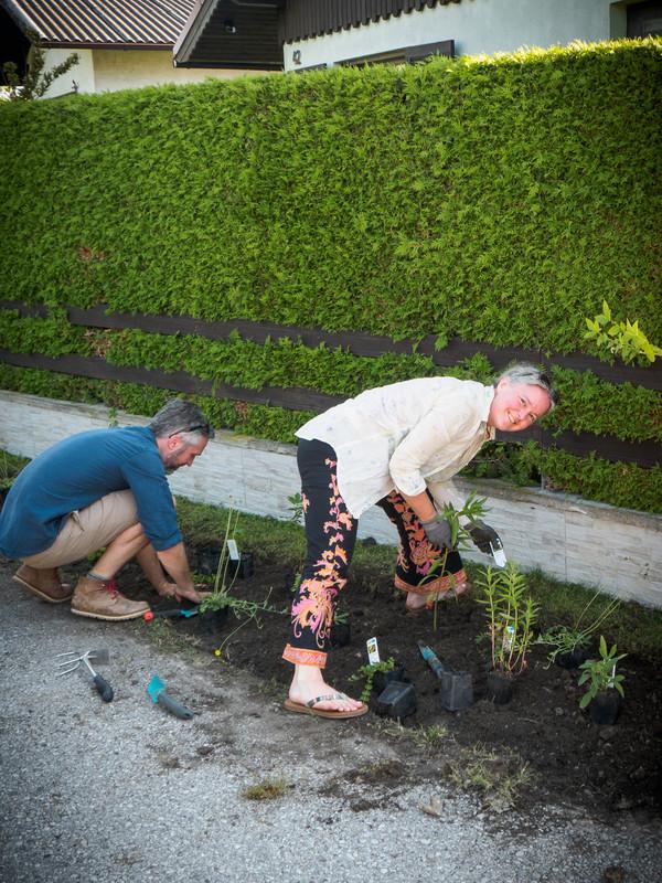Zwei GLOBAL 2000 Mitarbeiter:innen stehen an einer Straße und setzen Pflanzen ein