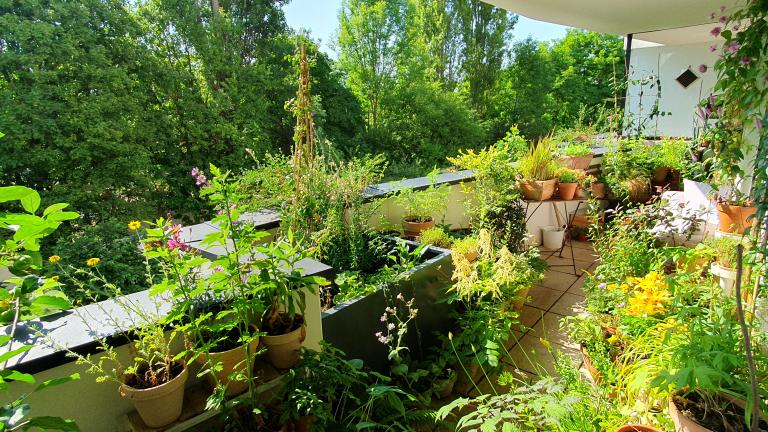 Balkon mit vielen Pflanzentöpfen