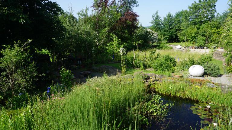 Naturgarten mit Biotop
