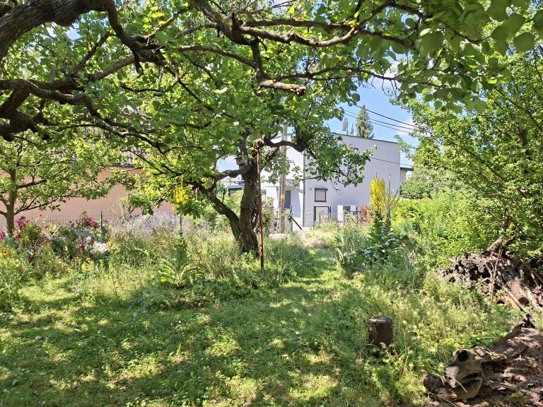 Naturgarten mit Bäumen