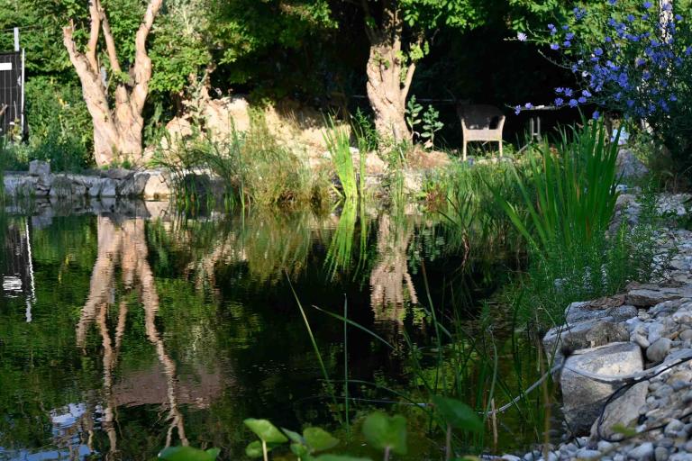 Nationalpark Garten Fotowettbewerb 10. Platz: Naturnaher Garten mit Gartenteich und Bäumen rundherum