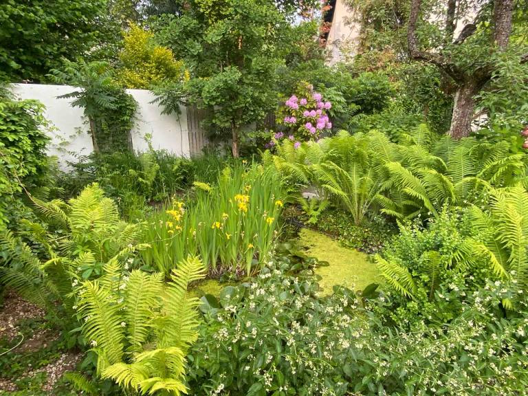 Nationalpark Garten Fotowettbewerb 4. Platz: Naturnaher Garten mit Blumen und Büschen und einer Mauer im Hintergrund
