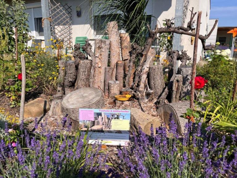 Nationalpark Garten Fotowettbewerb 8. Platz: Naturnaher Garten mit Lavendel und Trittsteinbiotop, Insektenhotel und einer kleinen Schautafel