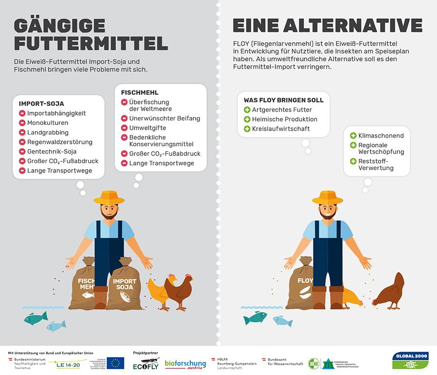 FLOY FLOY Infografik