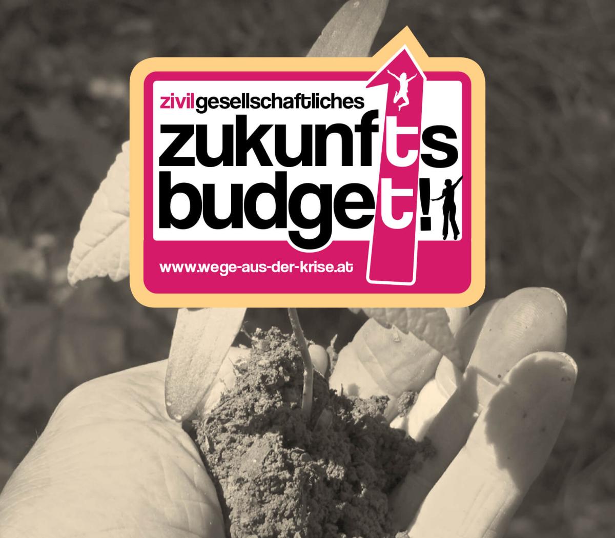 Zivilgesellschaftliches Zukunftsbudget 2016 Zivilgesellschaftliches Zukunftsbudget 2016